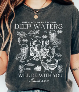 When You Pass Through Deep Waters
