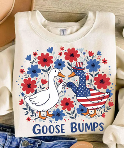 Goose Bumps Patriotic