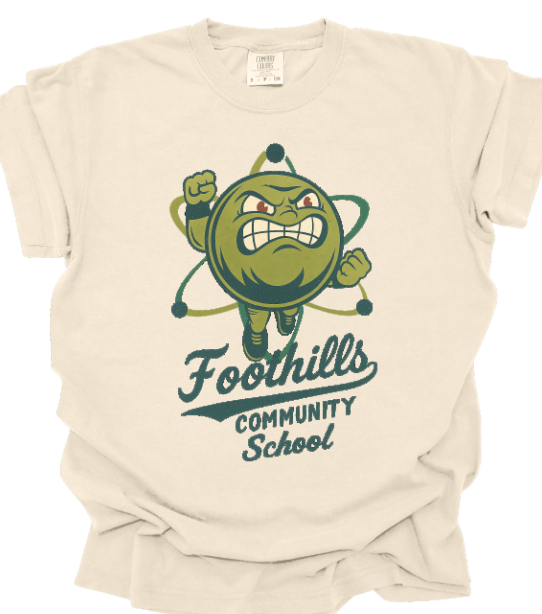 Retro Vintage FCS