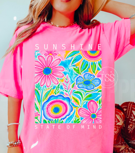 Sunshine State of Mind